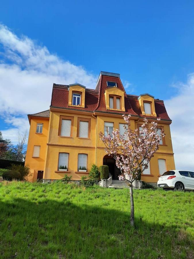 Studio Soleil Au Hohwald Bagian luar foto