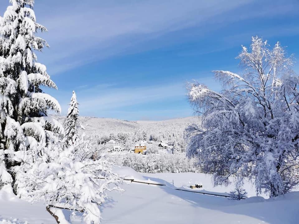 Studio Soleil Au Hohwald Bagian luar foto